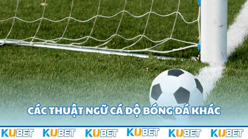 Các thuật ngữ khác tại Kubet