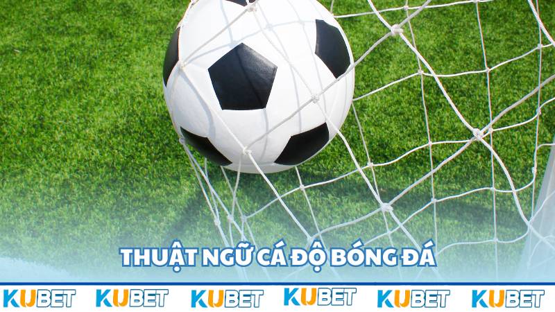 Thuật ngữ cá độ bóng đá 